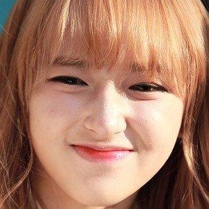 Cheng Xiao worth